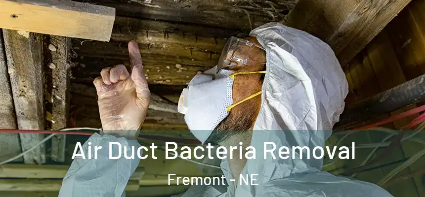 Air Duct Bacteria Removal Fremont - NE