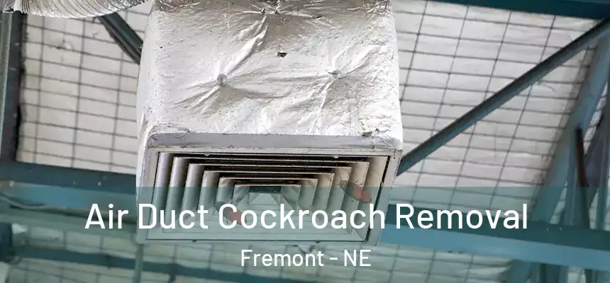 Air Duct Cockroach Removal Fremont - NE