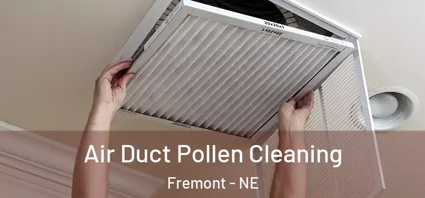  Air Duct Pollen Cleaning Fremont - NE