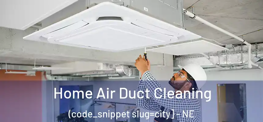  Home Air Duct Cleaning (code_snippet slug=city] - NE