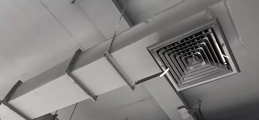 Our Rodent Droppings In Vents Services in Fremont, NE