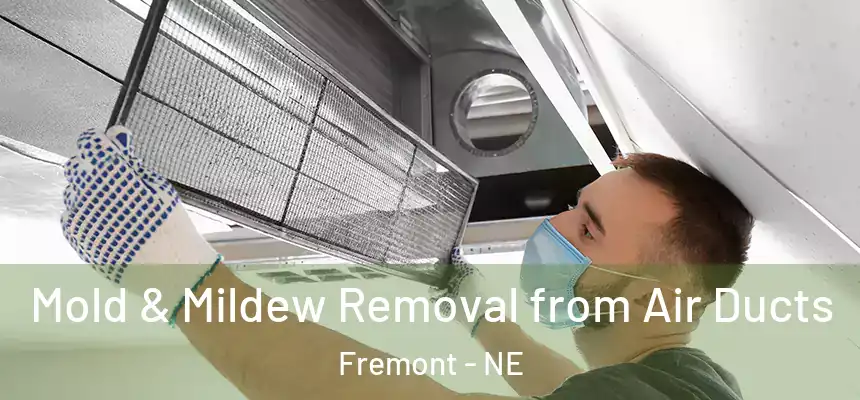  Mold & Mildew Removal from Air Ducts Fremont - NE
