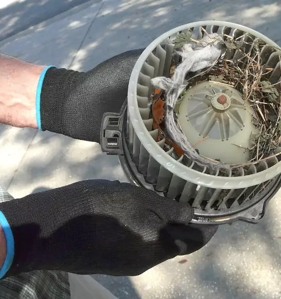 About Air Duct Rat Removal in Fremont, NE