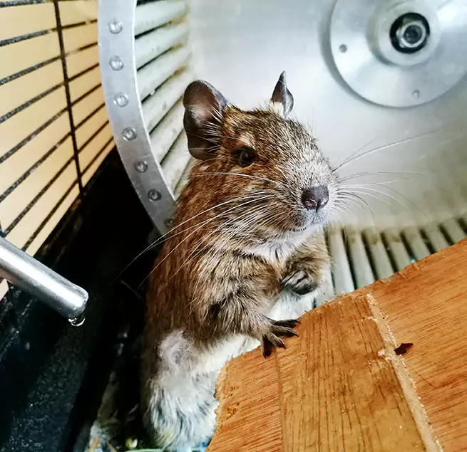 Why Homeowners & Businesses Trust Us Fremont, NE