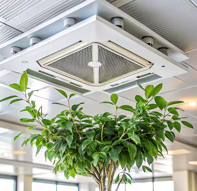 Why Homeowners & Businesses Trust Us in Fremont, NE?